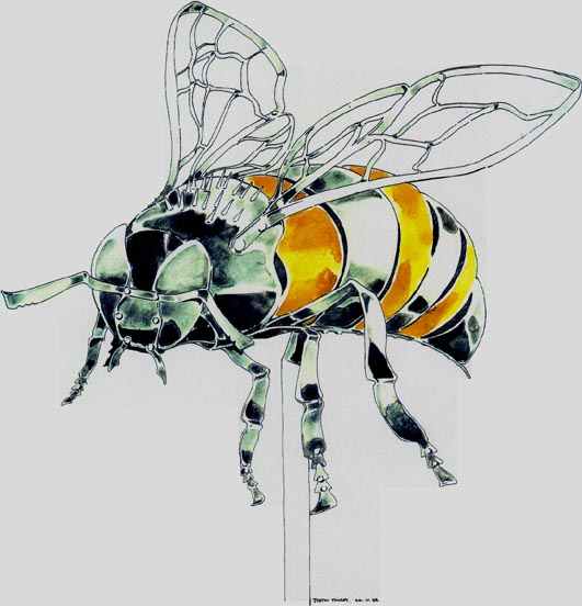 Illustration of Steel Bee, click to return.